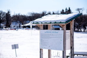 C2C_ArticleEmbed6_Winnipeg_100%xauto
