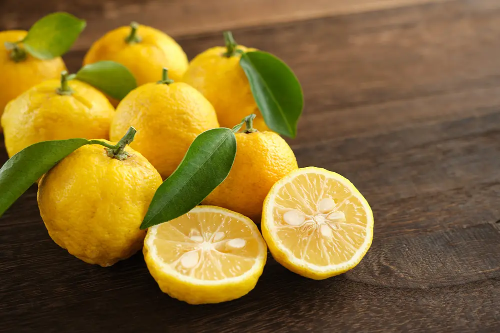 group of yuzu on wood background closeup