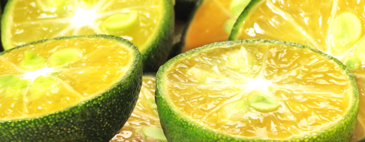 Calamansi
