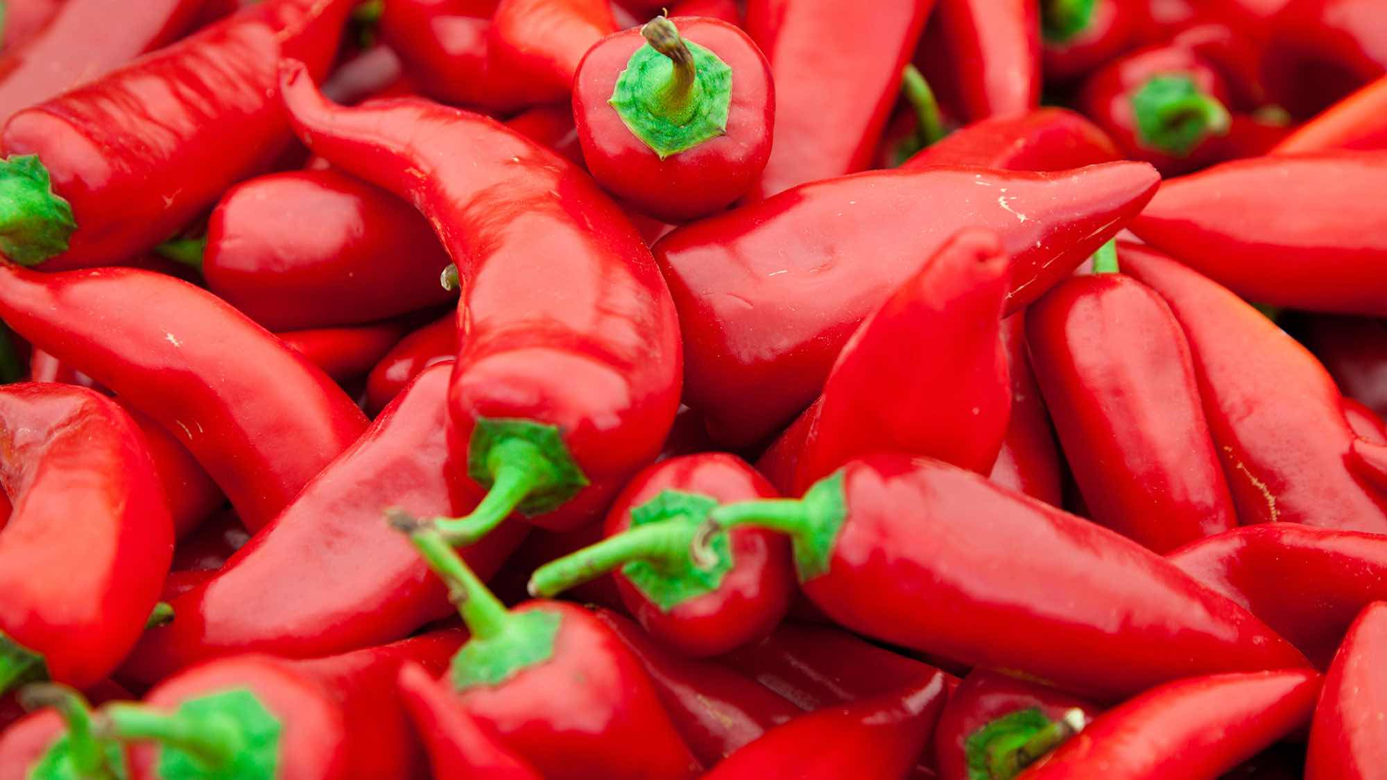 Papryka Chili | Kamis