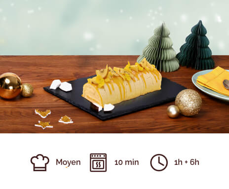 buche_de_noel_exotique_tiramisu