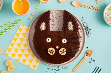 gateau_chat_choco_noisettes