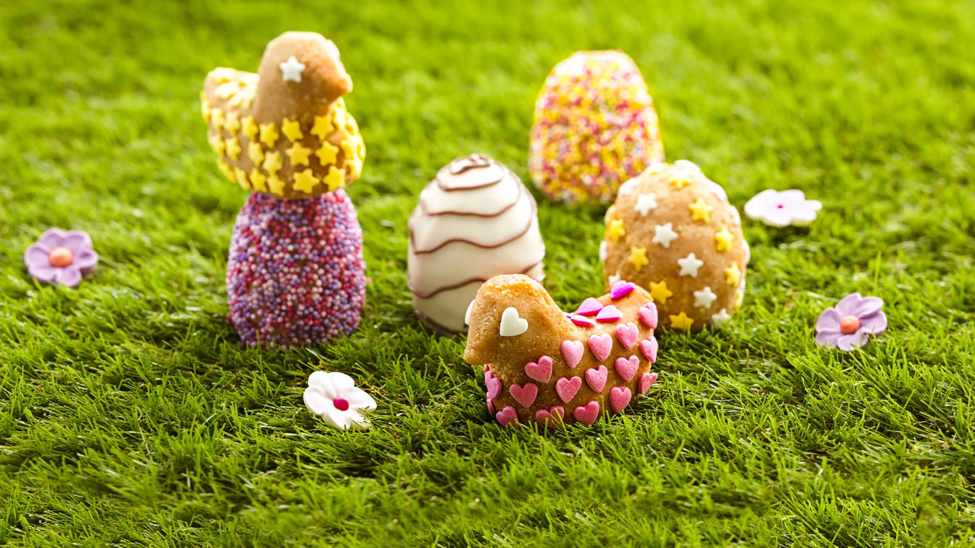 Œufs de Pâques Chocolat