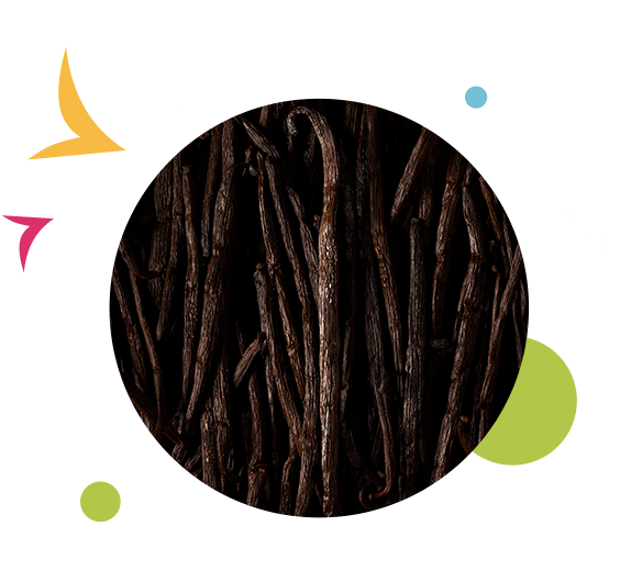 vanilla-img-7